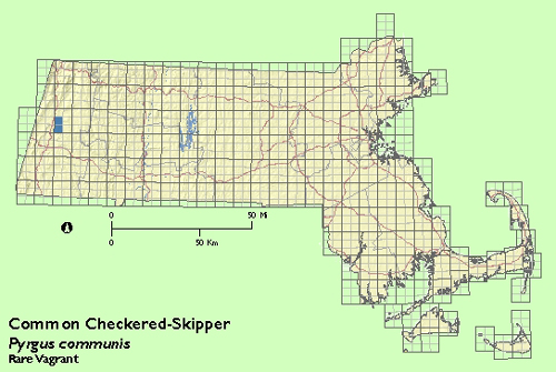 Common Checkered Skipper map