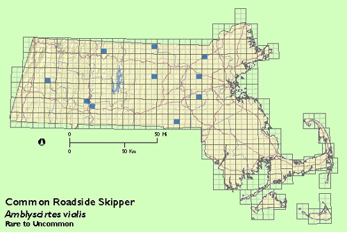 Common Roadside Skipper map