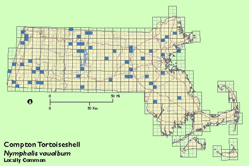 Compton Tortoiseshell map