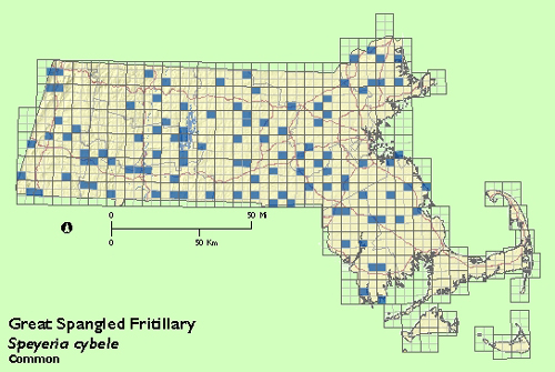 Great Spangled Fritillary map