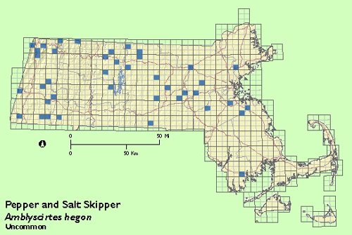 Pepper and Salt Skipper map