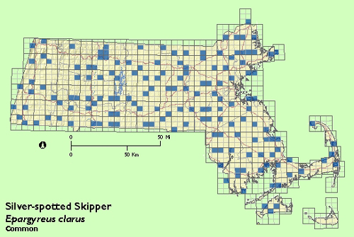 Silver-spotted Skipper map