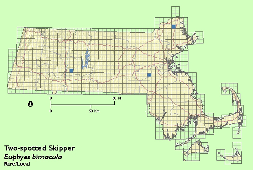 Two-spotted Skipper map