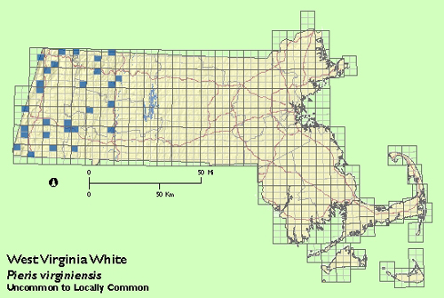 West Virginia White map