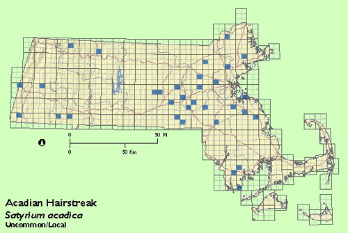 Acadian Hairstreak map