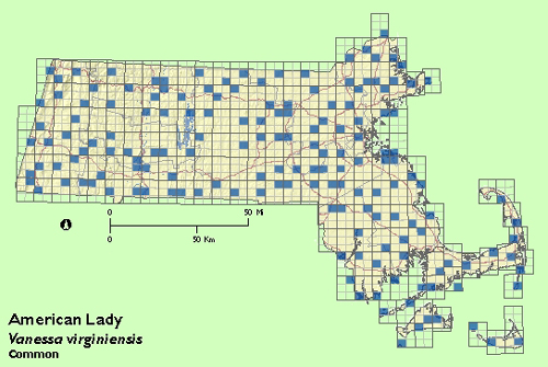 American Lady map