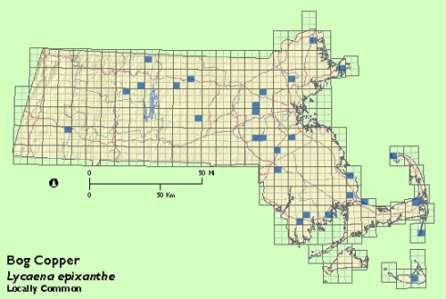 Bog Copper map