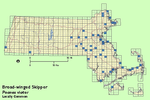 Broad-winged Skipper map