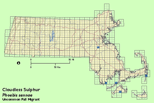 Cloudless Sulphur map