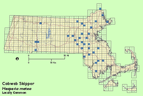 Cobweb Skipper map