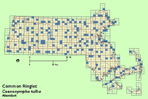 Common Ringlet map