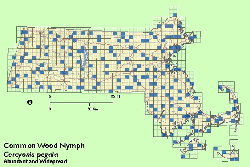 Common Wood Nymph map