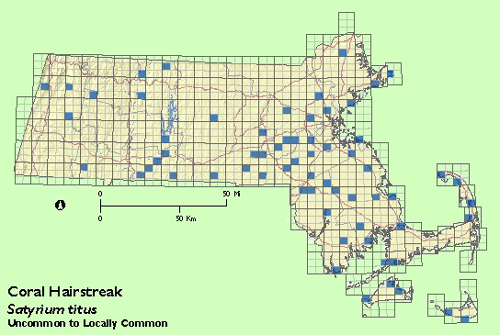 Coral Hairstreak map