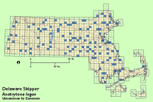 Delaware Skipper map