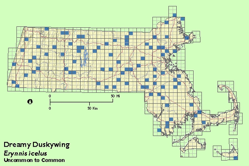 Dreamy Duskywing map