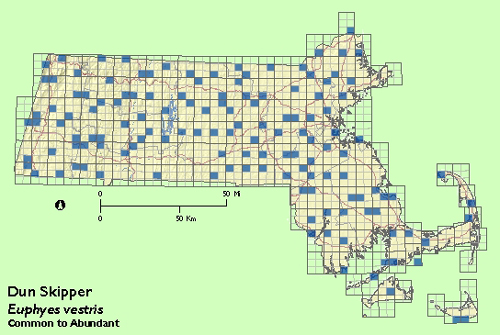 Dun Skipper map