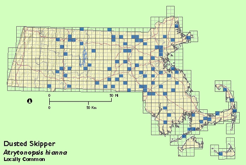 Dusted Skipper map