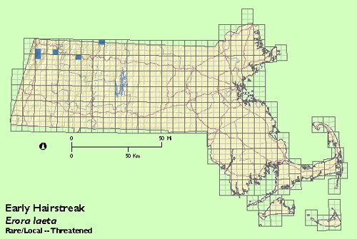 Early Hairstreak map