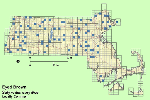 Eyed Brown map