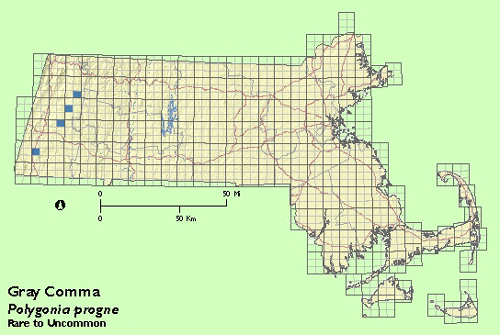 Gray Comma map