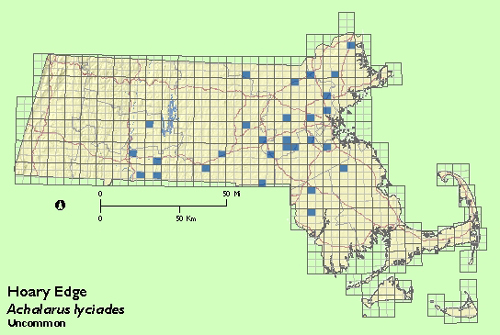 Hoary Edge map