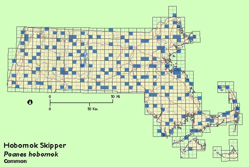 Hobomok Skipper map