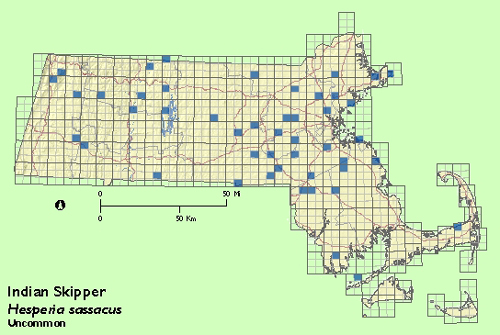 Indian Skipper map