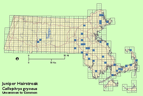 Juniper Hairstreak map