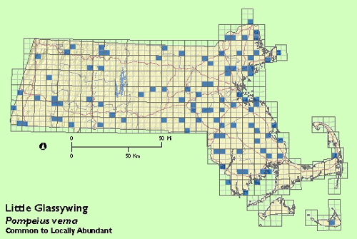 Little Glassywing map