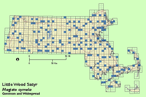 Little Wood Satyr map