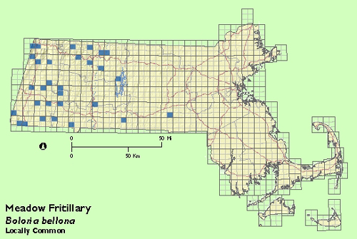 Meadow Fritillary map