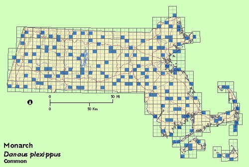 Monarch map