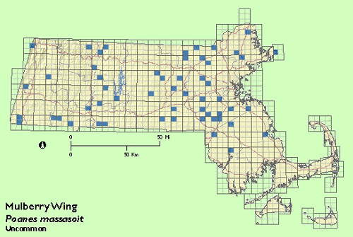 Mulberry Wing map