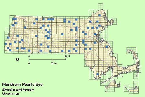 Northern Pearly Eye map