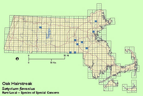 Oak Hairstreak map