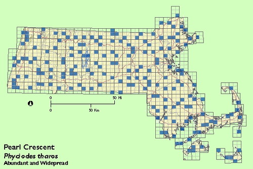 Pearl Crescent map