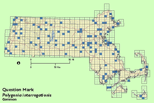 Question Mark map