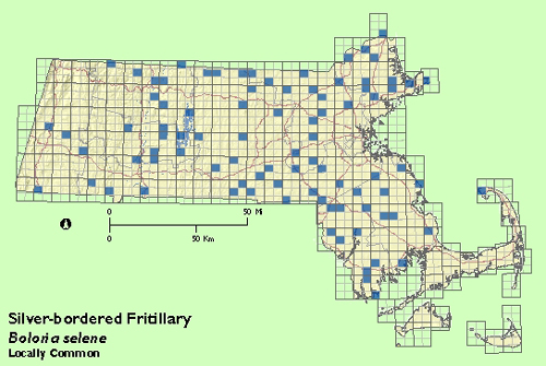 Silver-bordered Fritillary map