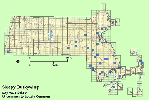 Sleepy Duskywing map