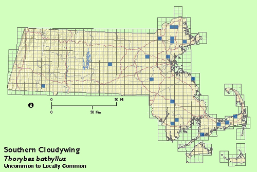 Southern Cloudywing map