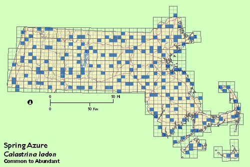 Spring Azure map