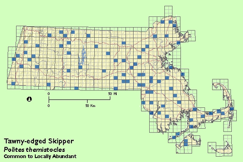 Tawny-edged Skipper map